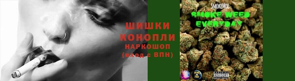 ГАЛЛЮЦИНОГЕННЫЕ ГРИБЫ Михайловка