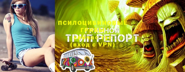 ГАЛЛЮЦИНОГЕННЫЕ ГРИБЫ Михайловка
